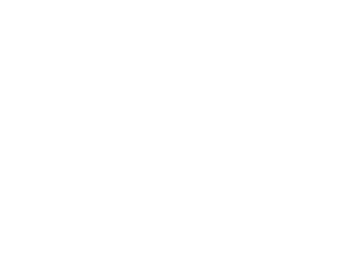 RevX Auto House